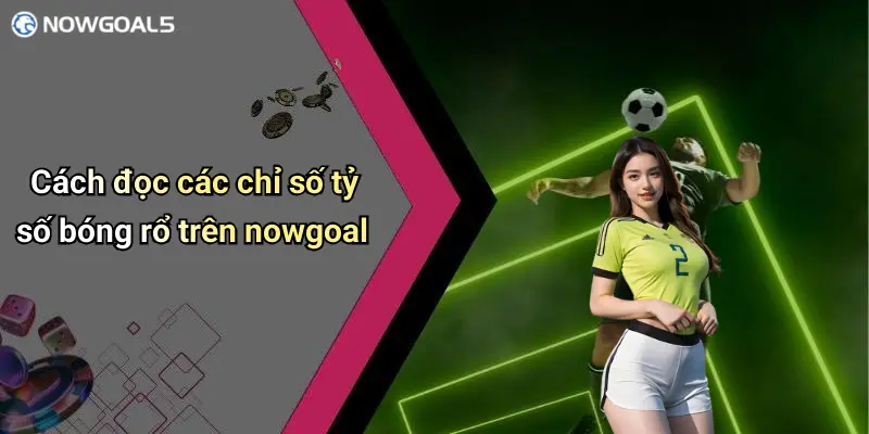 Cách đọc các chỉ số tỷ số bóng rổ trên nowgoal