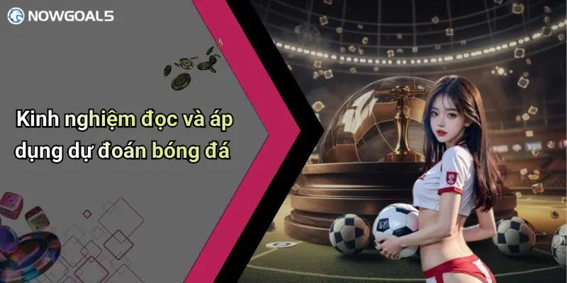 Kinh nghiệm đọc và áp dụng dự đoán bóng đá