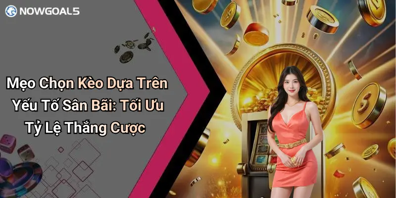 Mẹo Chọn Kèo Dựa Trên Yếu Tố Sân Bãi: Tối Ưu Tỷ Lệ Thắng Cược