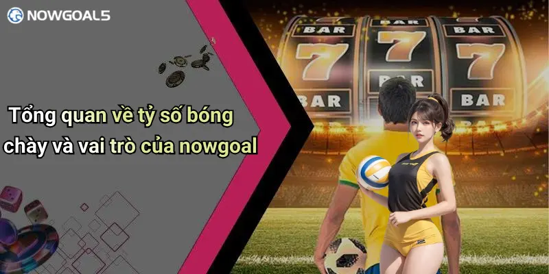 Tổng quan về tỷ số bóng chày và vai trò của nowgoal