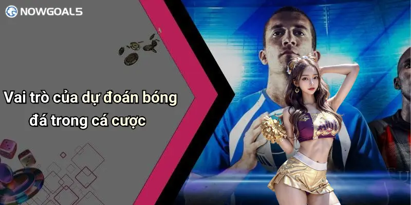 Vai trò của dự đoán bóng đá trong cá cược