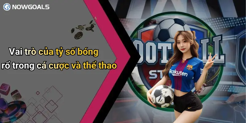 Vai trò của tỷ số bóng rổ trong cá cược và thể thao