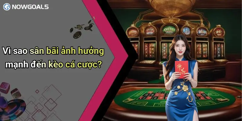 Vì sao sân bãi ảnh hưởng mạnh đến kèo cá cược?