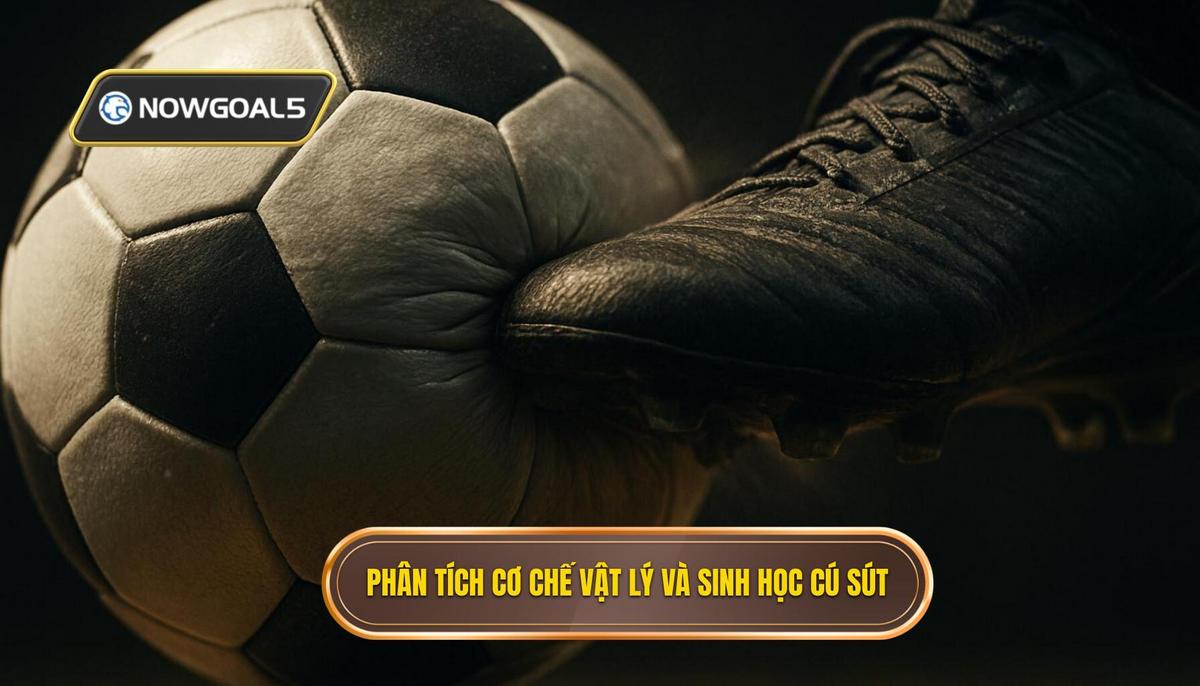 Phân tích Cơ chế Vật lý và Sinh học của Cú Sút
