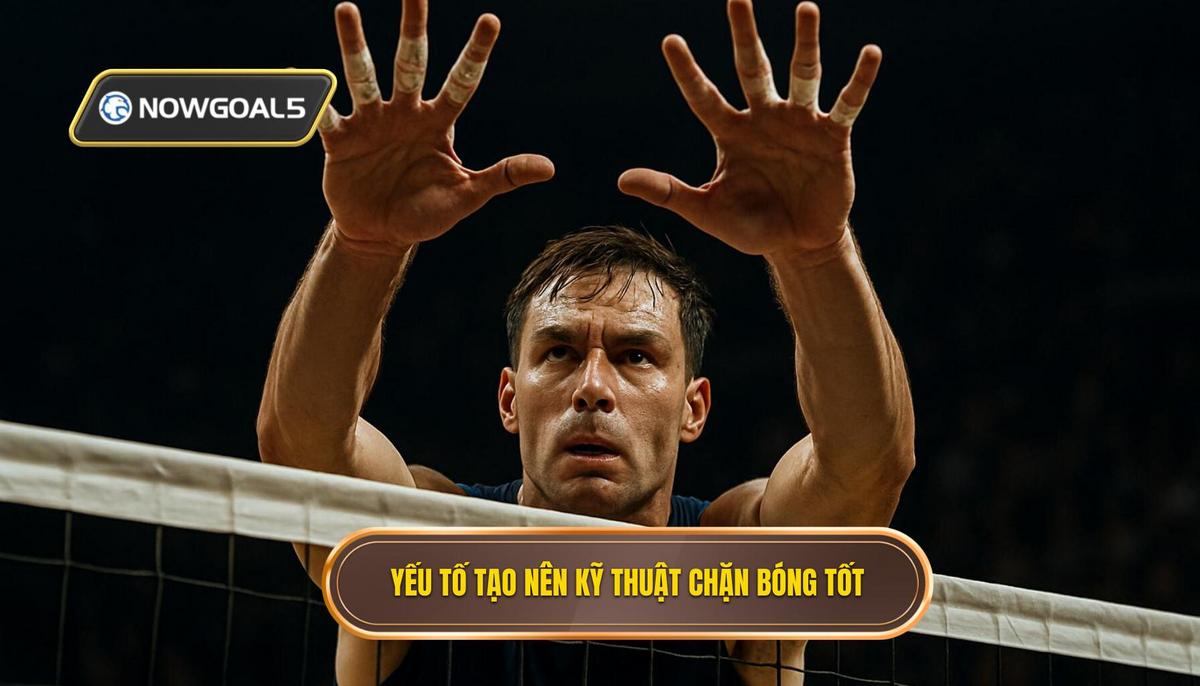 Yếu tố cấu thành nên Kỹ thuật đánh chặn bóng hoàn hảo