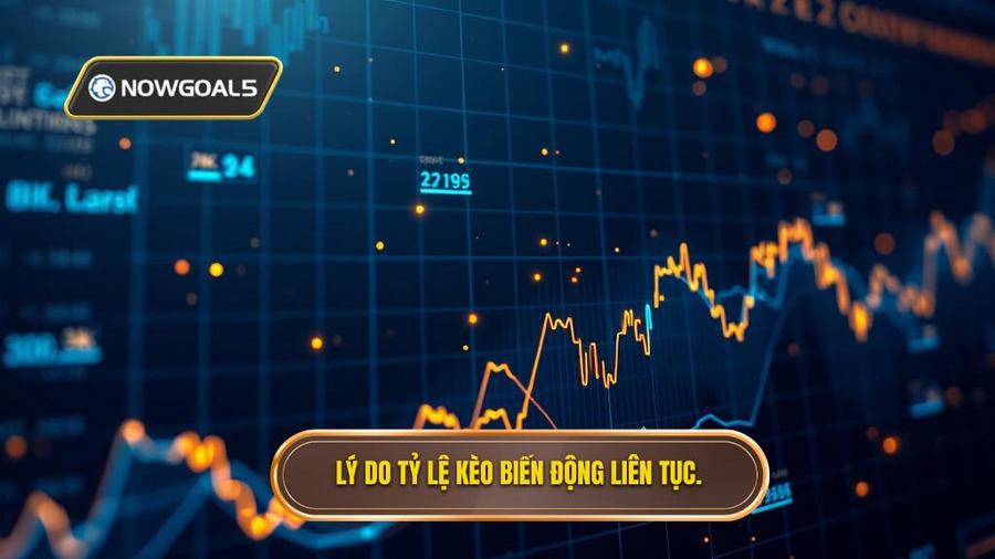 Lý do tỷ lệ kèo biến động liên tục