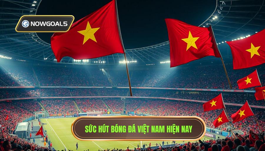 1. Sức hút của các giải đấu bóng đá Việt Nam hiện nay 1. Sức hút của các giải đấu bóng đá Việt Nam hiện nay